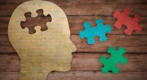 puzzle pieces of the brain
