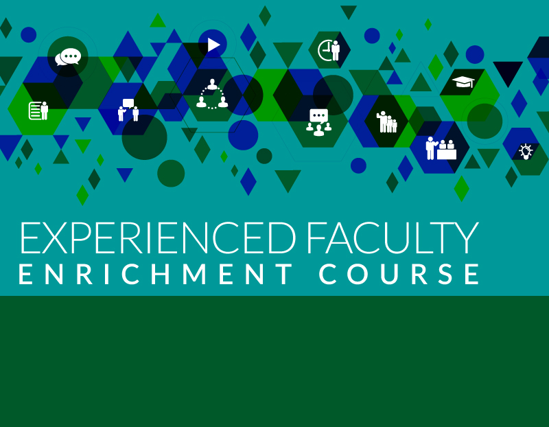 Course for experienced faculty