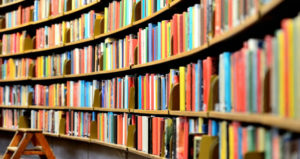 Bookshelf displaying a variety of books