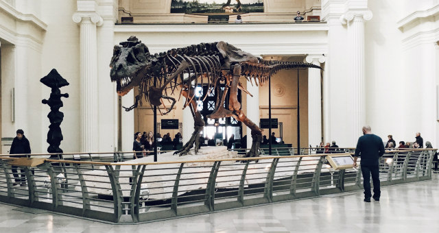 Museum exhibit reflects flipped teaching methods