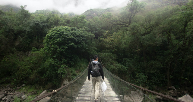 Person with backpack walks on bridge with forest in background