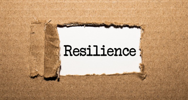 Cardboard is pulled back revealing the word "resilience"