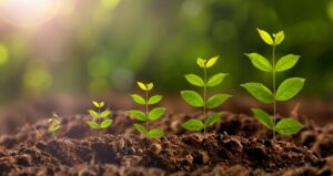 Plants growing at different heights in the ground